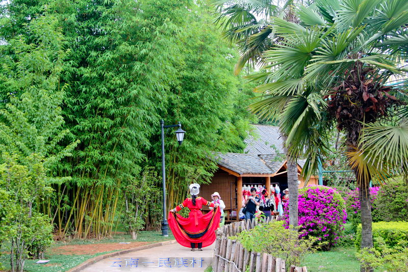 img_4127_缩小大小.jpg