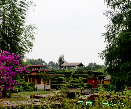img_4134_缩小大小.jpg