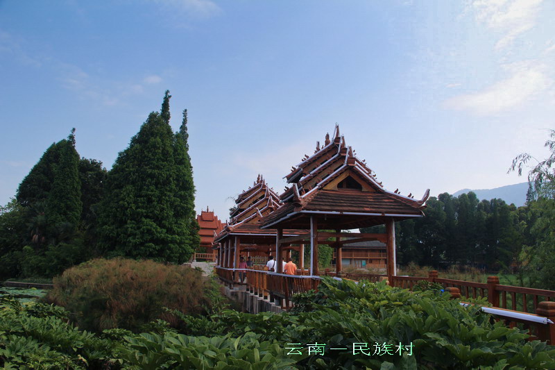 img_4316_缩小大小.jpg