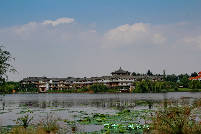 img_4317_缩小大小.jpg