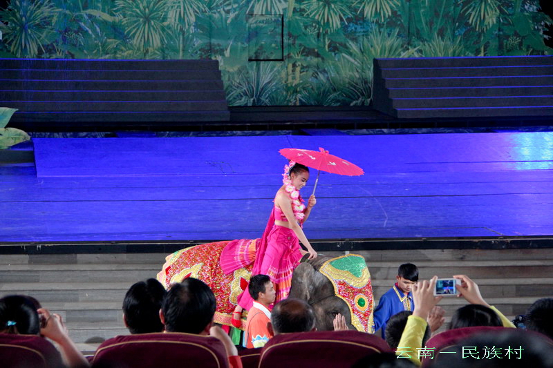img_4229_缩小大小.jpg