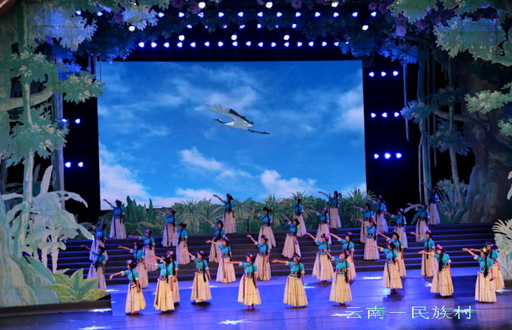 img_4289_缩小大小.jpg