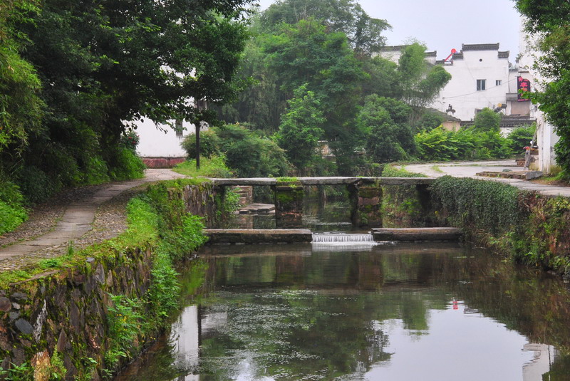 20120609ģǱŵ_058_С.jpg