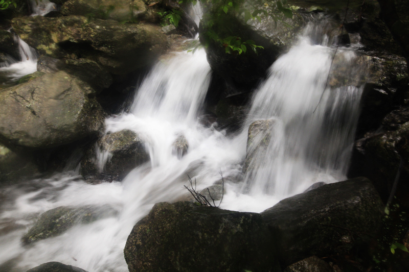 img_5602.jpg