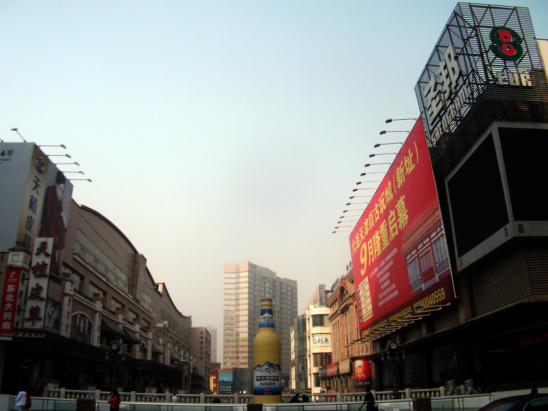 dscf0110.jpg