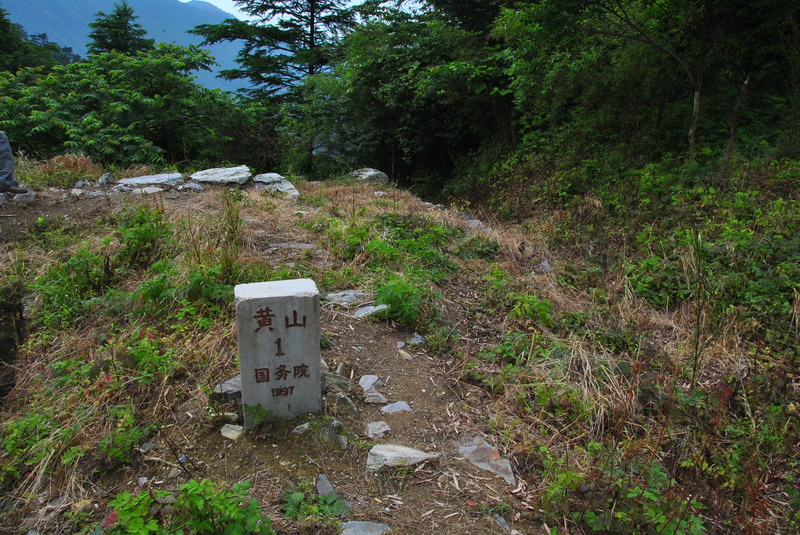 20120609ģǱŵ_330_С.jpg