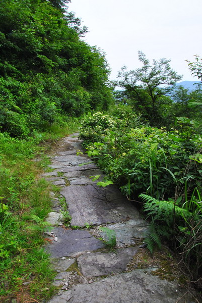 20120609ģǱŵ_339_С.jpg