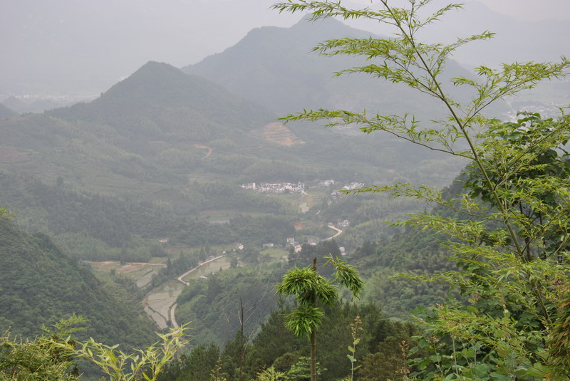 20120609ģǱŵ_347_С.jpg