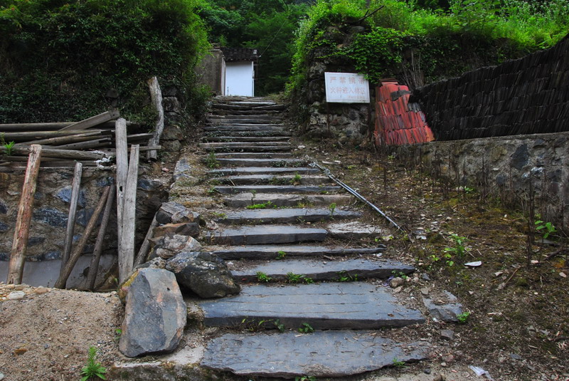 20120609ģǱŵ_355_С.jpg