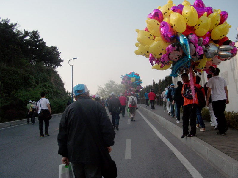 dscf0288.jpg