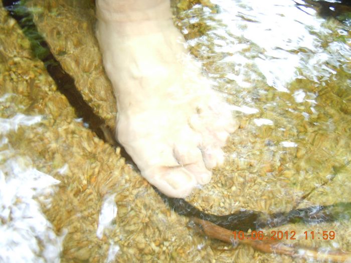 dscn3915.jpg