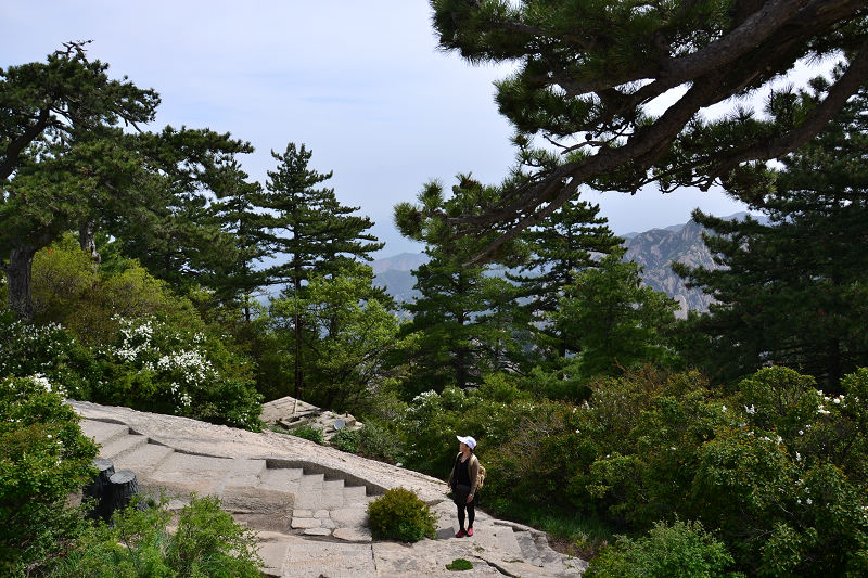 dsc_0434.jpg