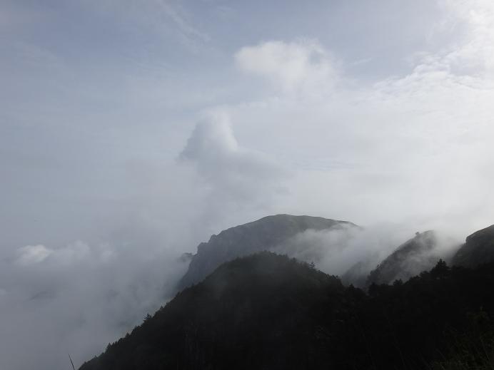 dsc01385.jpg