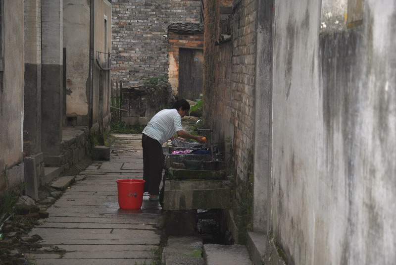 20120609ģǱŵ_256_С.jpg
