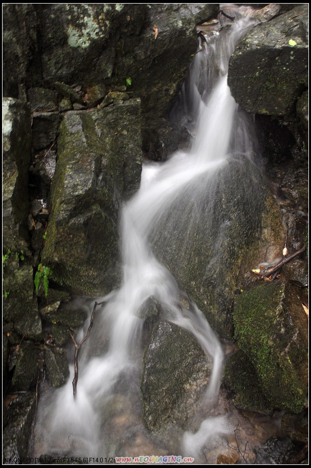 dsc_0569-1.jpg