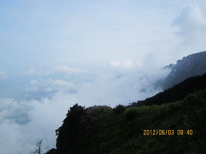 neo_img_img_3894.jpg