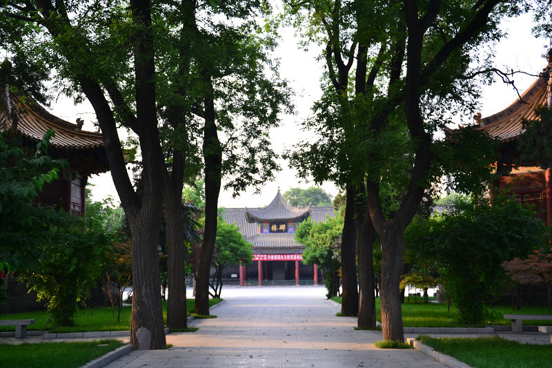 dsc_0988.jpg