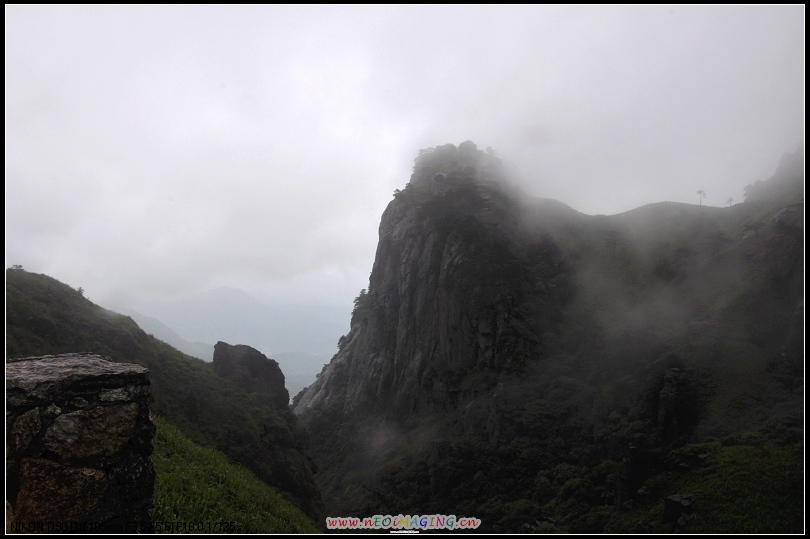 dsc_0449-1.jpg