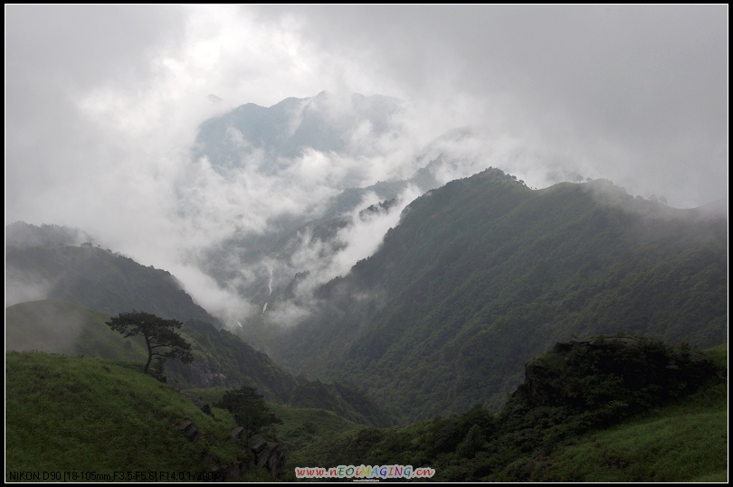 dsc_0455-1.jpg