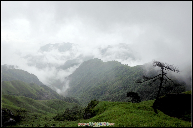 dsc_0459-1.jpg