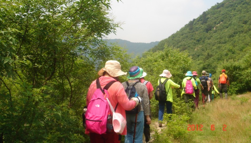 20126320732475351.jpg