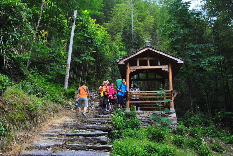 20120609ģǱŵ_286_С.jpg