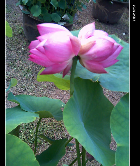 img_20120615_090015.jpg