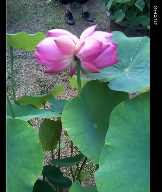img_20120615_090025.jpg