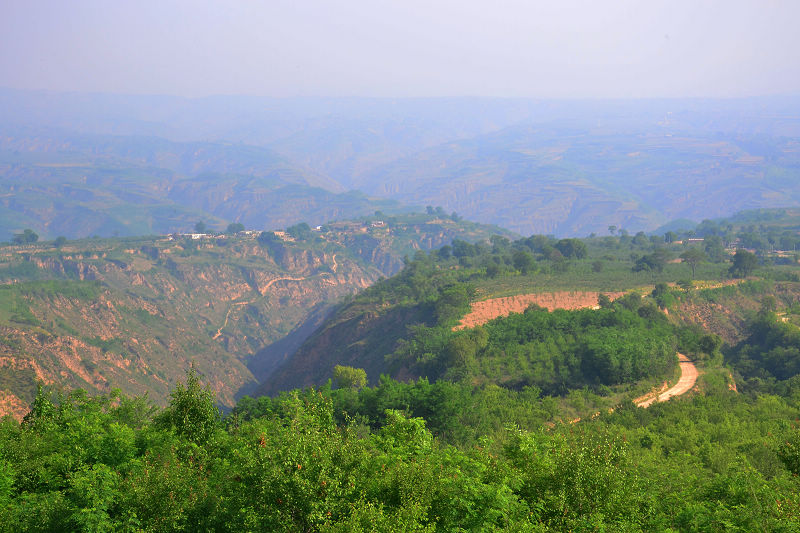 dsc_0067.jpg