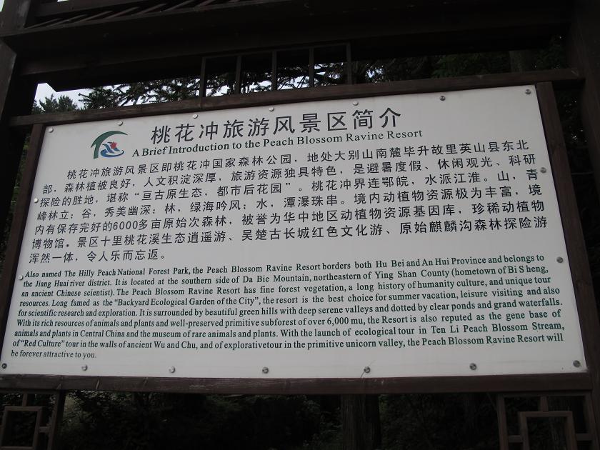 img_6736.jpg