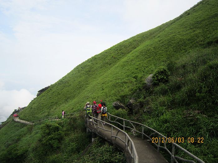 neo_img_img_3880.jpg