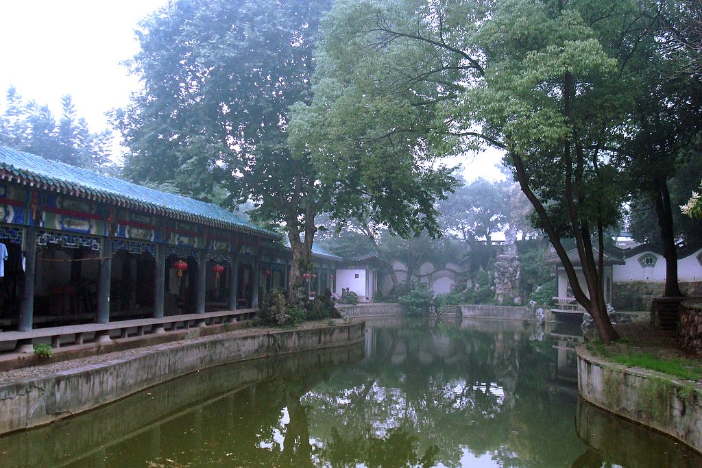 dsc00914.jpg