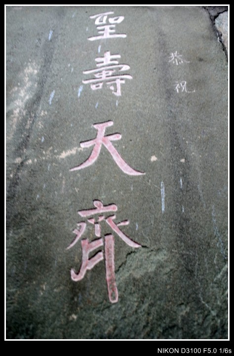 456 260_conew1.jpg