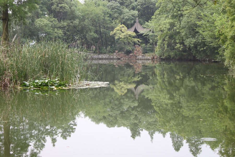 Ƭ 095.jpg
