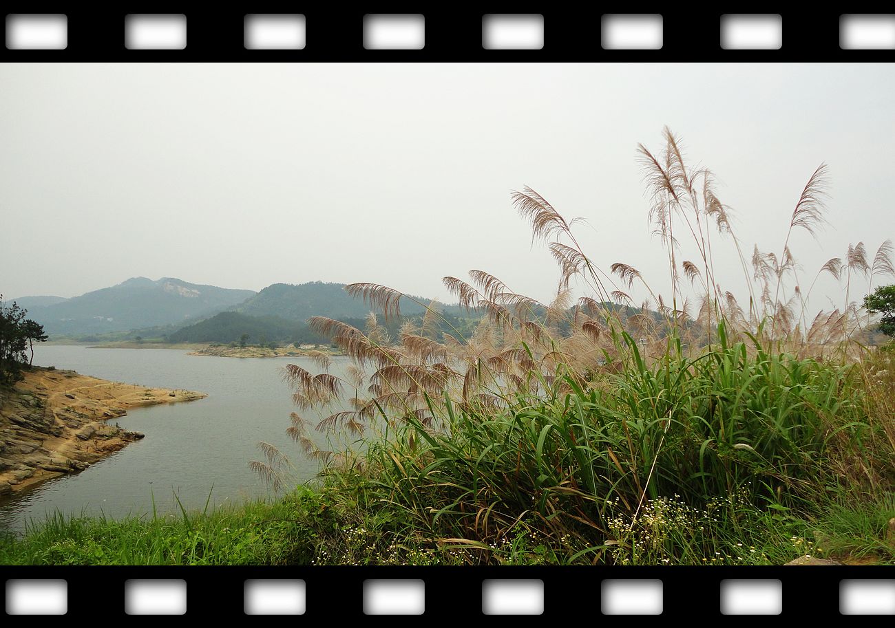 neo_img_dsc07724.jpg