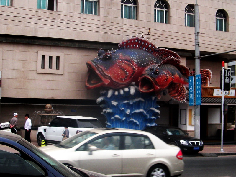 dscf0164.jpg