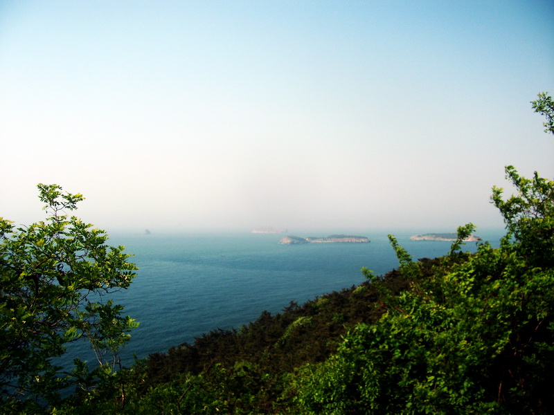 dscf0310.jpg