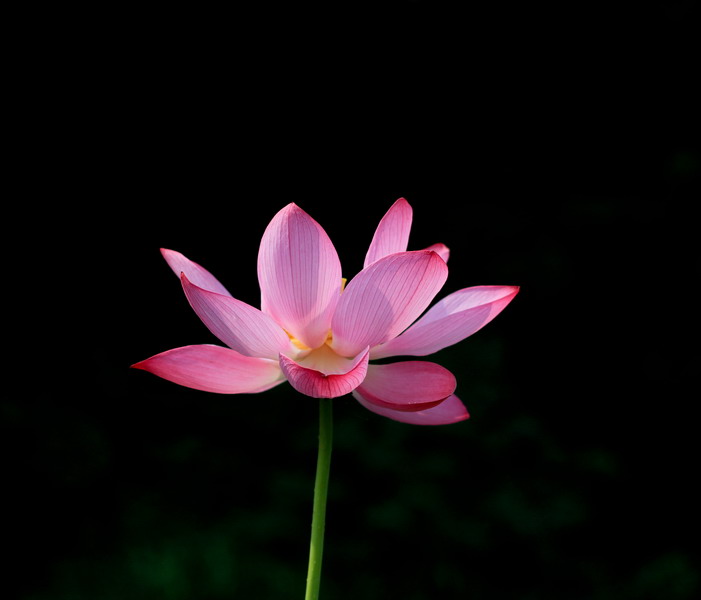 img_4367_СС.jpg