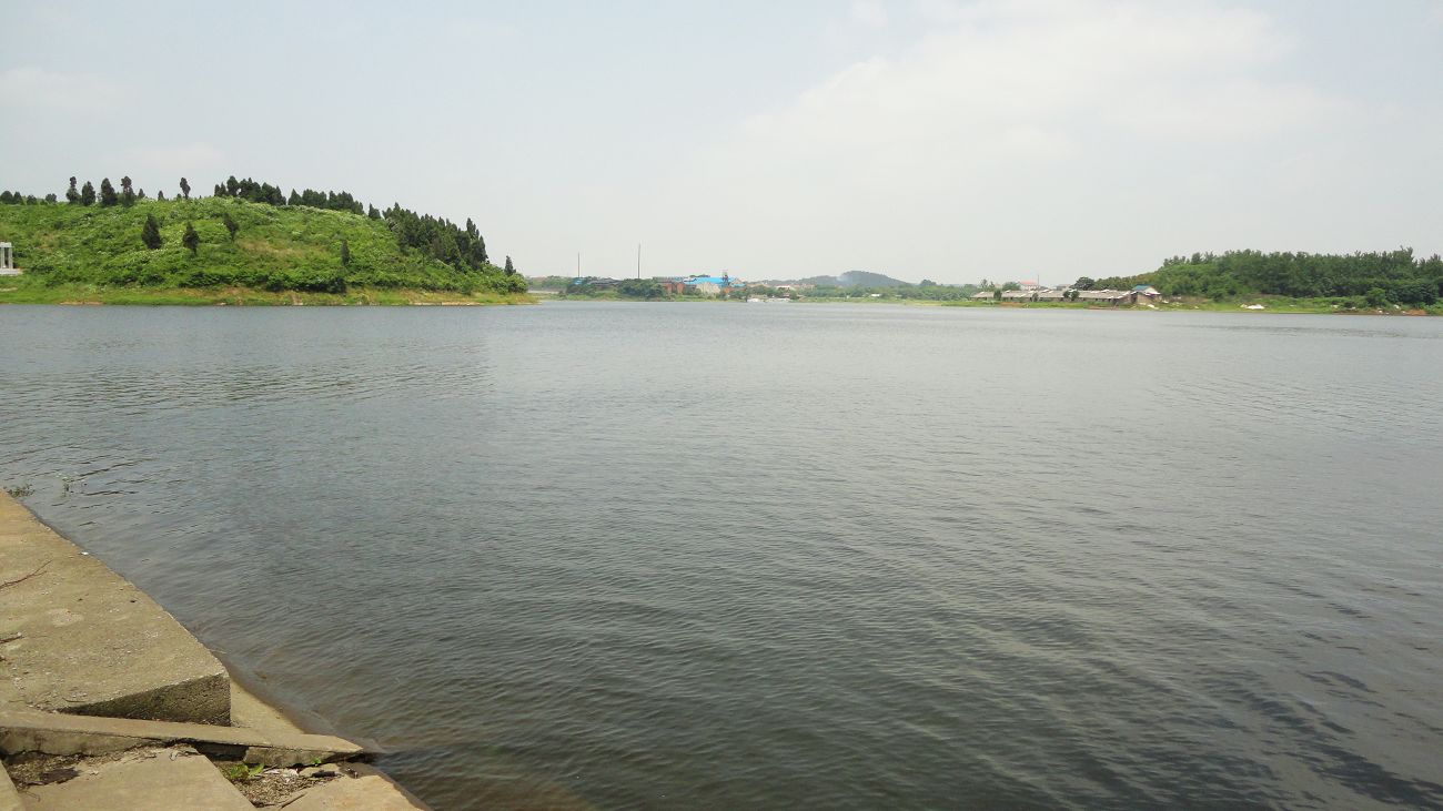 neo_img_dsc07093.jpg