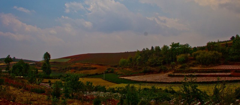 img_2607_СС.jpg