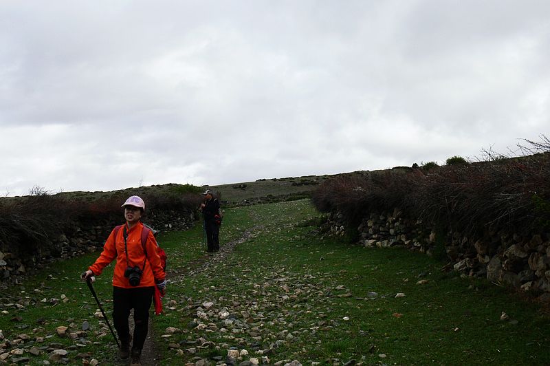 p1210486.jpg