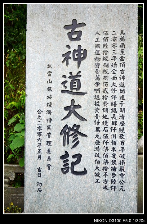456 436_conew1.jpg