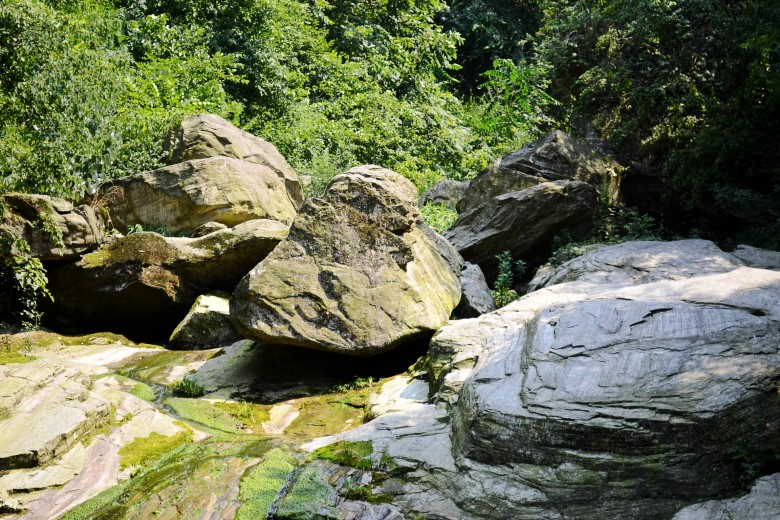 456 190_conew1.jpg