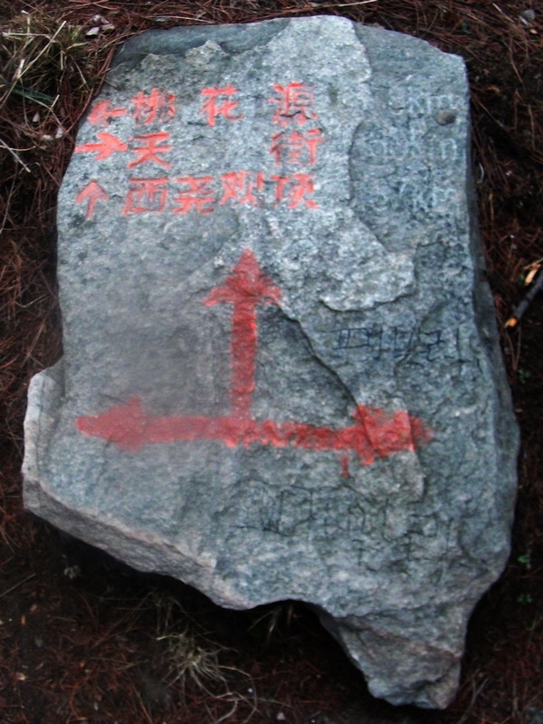 dscf0311.jpg