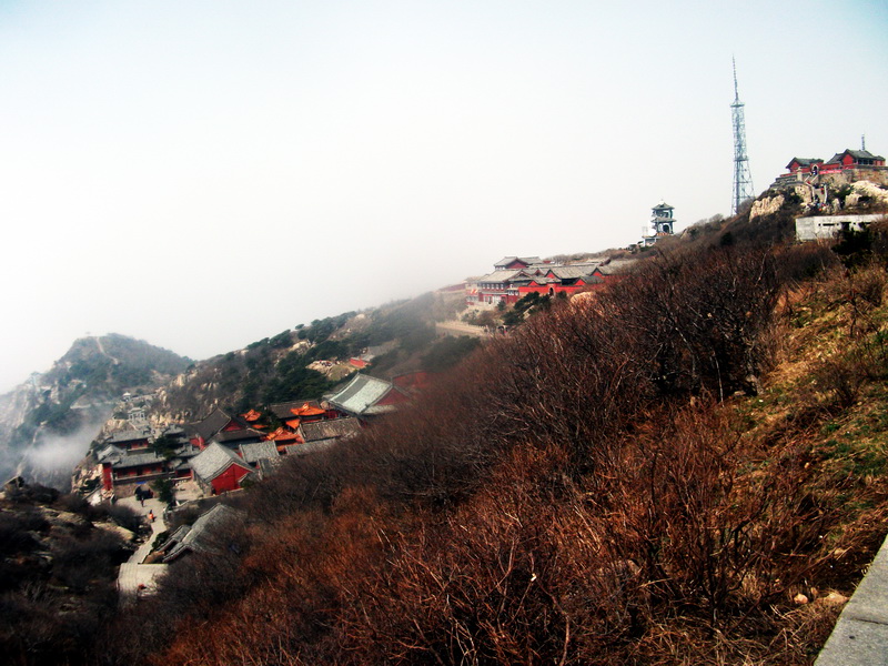 dscf0387.jpg