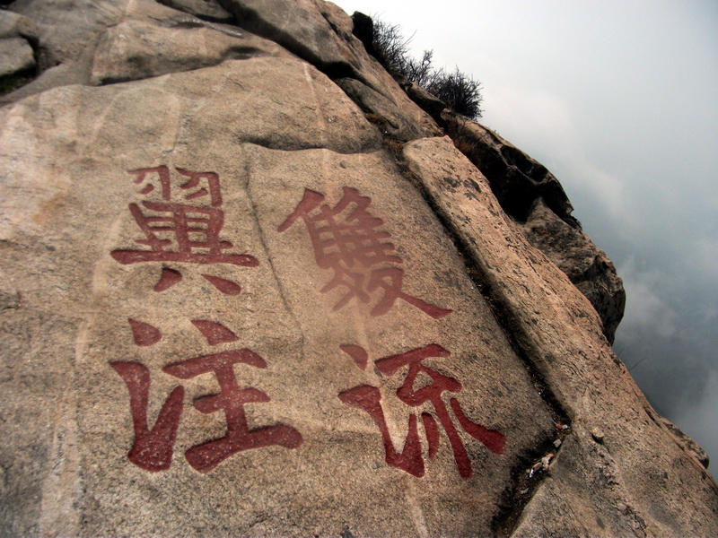 dscf0391.jpg