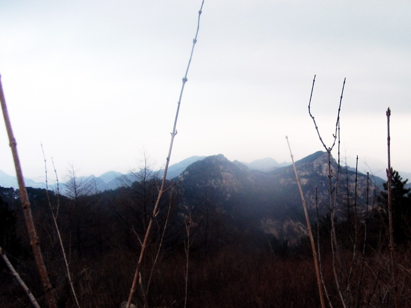 dscf0312.jpg