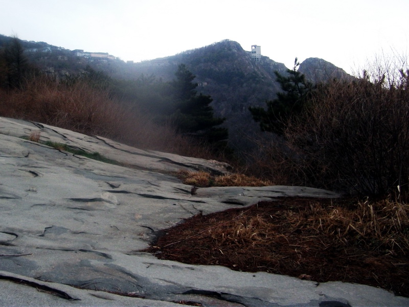 dscf0313.jpg