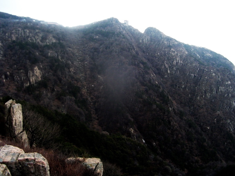 dscf0315.jpg
