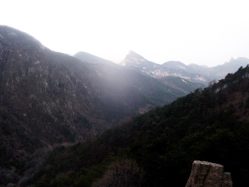 dscf0316.jpg
